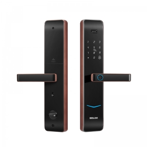 Cửa khóa thông minh Đệ Lực Tây B2