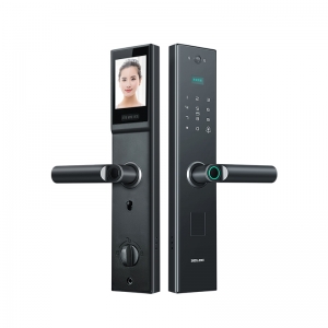 Cửa khóa thông minh Đệ Lực Tây C2